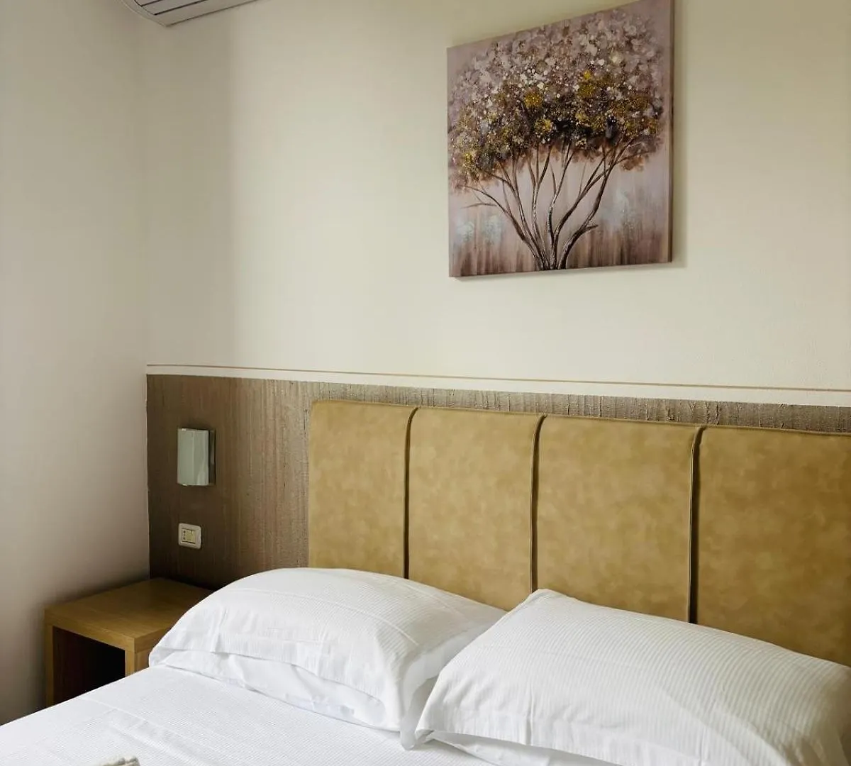 Hotel Virginia Marina di Massa 3*,