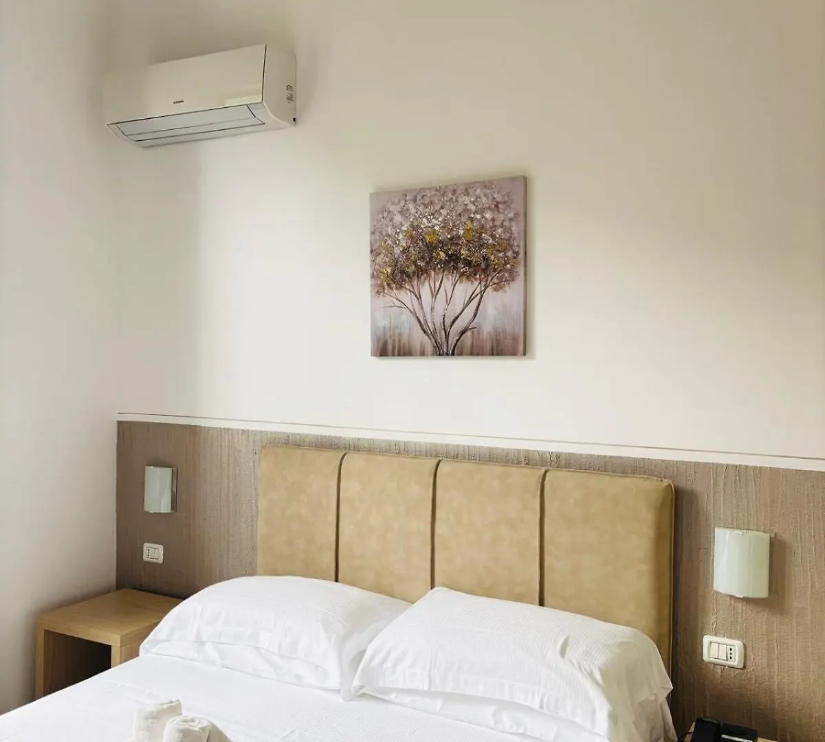 Hotel Virginia Marina di Massa 3*,